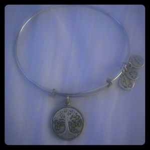 alex n Ani Bracelet